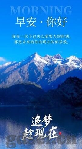 91麻豆高清视频-一片争议之中的斑驳光影，91麻豆高清视频的社会反思
