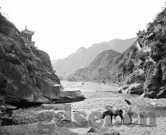 不卡在线日韩av-选择与健康生活，理性浏览的智慧