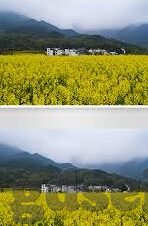 大象传媒 视频-大象传媒，视频内容创作的革新力量