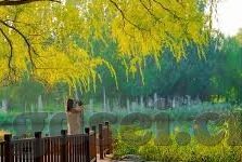 复仇者联盟4中文字幕-复仇者联盟4，英雄的终章与希望的重生