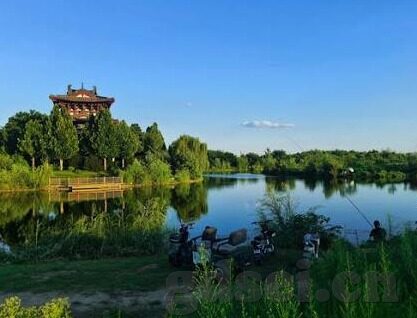高校教师中文字幕在线观看-高校教师，在线学习新风尚的引领者