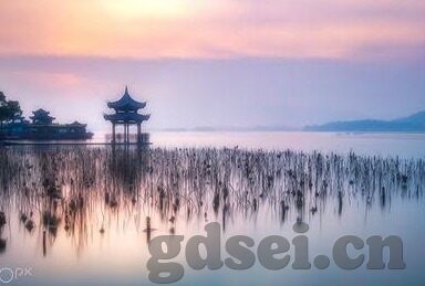 麻豆传媒系列-麻豆传媒系列，光怪陆离的娱乐迷宫与反思