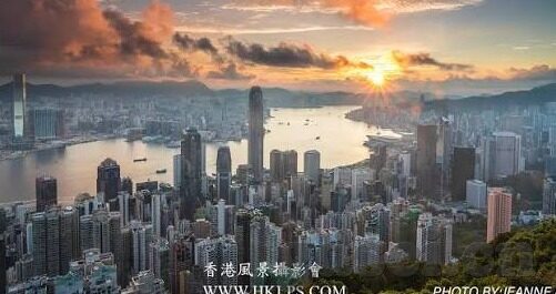 麻豆人妻-麻豆人妻，传统与现代交织的都市故事