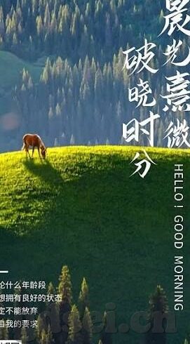 麻豆日记app-麻豆日记app，记录生活的艺术与日常的小确幸
