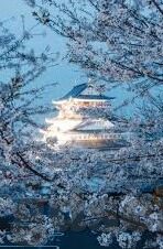 麻豆有限传媒公司-麻豆有限传媒公司的独特魅力与行业影响力