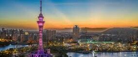 糖心app下载汅api免费新版-